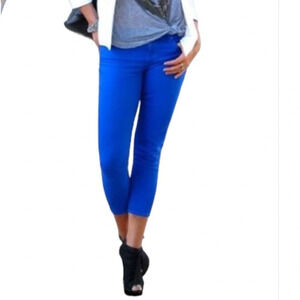 PAIGE Roxbury Purple Skinny Ankle Jeans Blue Pop of Colour Stretch USA Retro 29